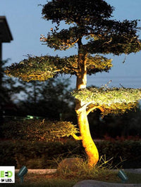 Landscape Flood Light - 50W